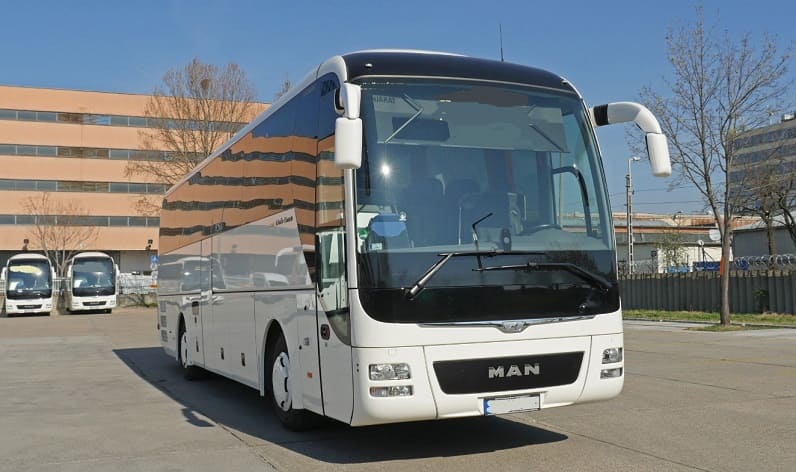 Lower Austria: Buses operator in Berndorf in Berndorf and Austria